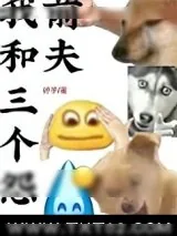 《我和三个怨种前夫》小说封面