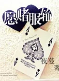 《愿赌服输》小说封面