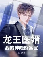 《龙王医婿：我的神瞳能鉴宝》小说封面