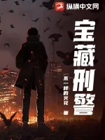 《宝藏刑警》小说封面