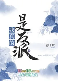 《我真的是反派》小说封面
