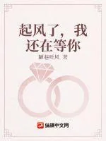 《起风了，我还在等你》小说封面