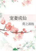 《宠妻成仙》小说封面
