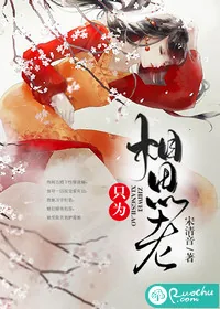 《只为相思老》小说封面