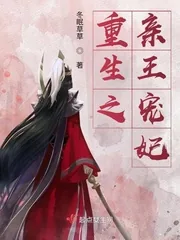 《重生之亲王宠妃》小说封面