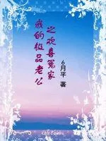 《夫人的黑历史被扒了》小说封面