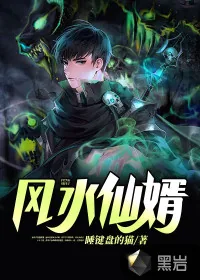 《风水仙婿》小说封面