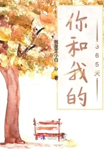 《你和我的365天》小说封面