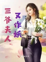 《三爷夫人又作妖》小说封面