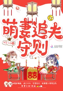 《萌妻追夫守则》小说封面