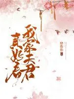 《我家夫君真好看》小说封面