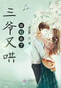 《三爷又哄媳妇去了》小说封面