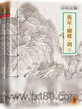 《流星蝴蝶剑》小说封面