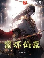 《崩坏仙庭》小说封面