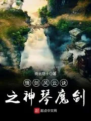 《情剑风云诀之神琴魔剑》小说封面