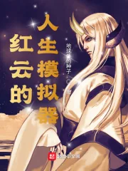 《红云的人生模拟器》小说封面