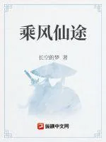 《乘风仙途》小说封面