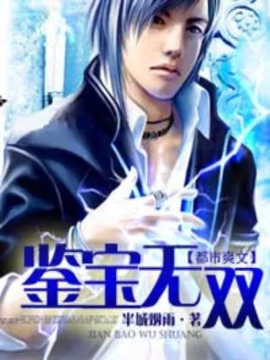 《鉴宝无双》小说封面
