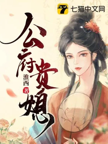 《公府贵媳》小说封面