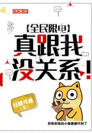 《全民限电，真跟我没关系！》小说封面