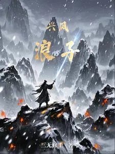 《兴风浪子》小说封面