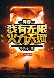 《网游:我有无限火力天赋》小说封面