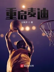 《重启麦迪》小说封面