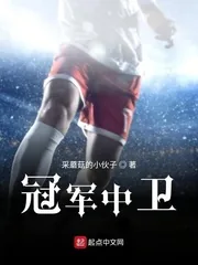 《冠军中卫》小说封面