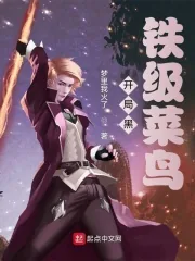 《开局黑铁级菜鸟》小说封面
