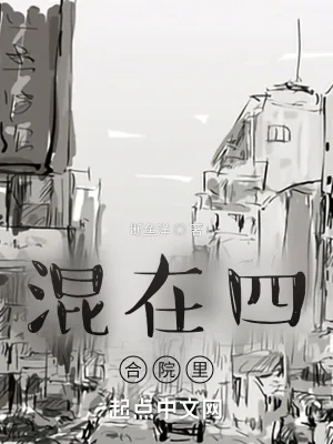 《混在四合院里》小说封面