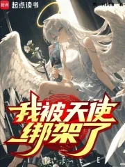 《我被天使绑架了？》小说封面