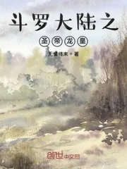 《斗罗大陆之圣帝龙皇》小说封面