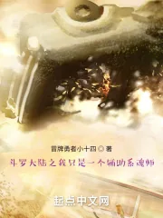 《斗罗大陆之我只是一个辅助系魂师》小说封面