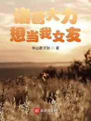 《诸葛大力想当我女友》小说封面
