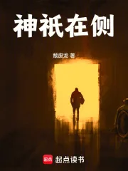 《神祇在侧》小说封面