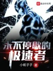 《永不停歇的极速者》小说封面