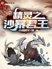 《精灵之沙暴君王》小说封面