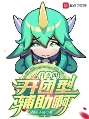 《什么叫开团型辅助啊》小说封面