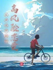 《从声优开始的高风险恋爱》小说封面