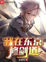 《我在东京修剑道》小说封面
