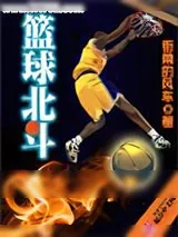 《篮球北斗》小说封面