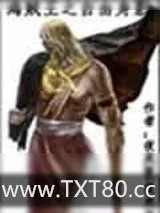 《海贼王之自由身影》小说封面