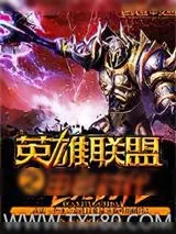 《英雄联盟之电竞时代》小说封面