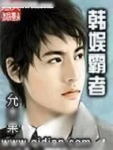 《韩娱霸者》小说封面
