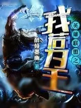《英雄联盟之我若为王》小说封面