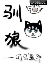 《英雄联盟》小说封面