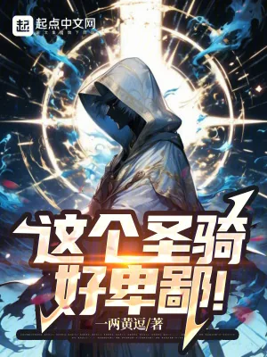 《这个圣骑，好卑鄙！》小说封面