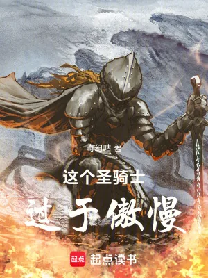 《这个圣骑士过于傲慢》小说封面