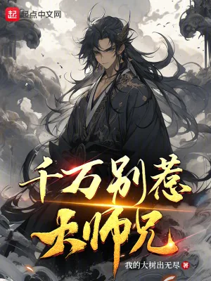 《千万别惹大师兄》小说封面
