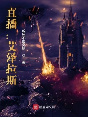 《直播:艾泽拉斯》小说封面
